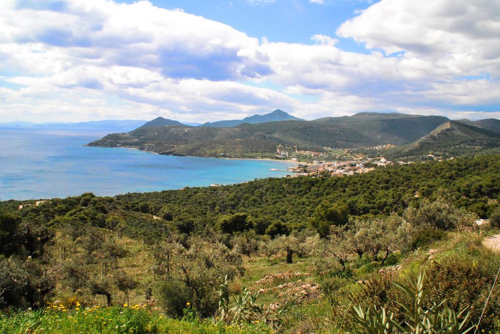 123 Soleil Studios Agia Marina  Exterior foto