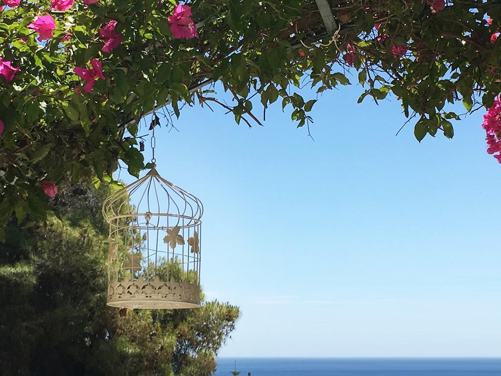 123 Soleil Studios Agia Marina  Exterior foto