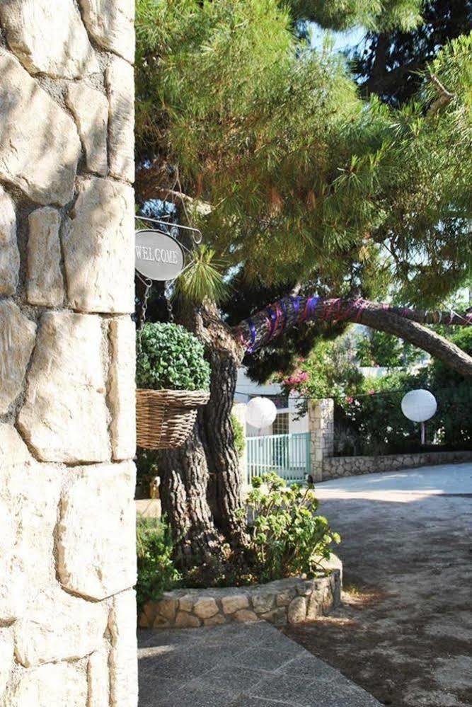 123 Soleil Studios Agia Marina  Exterior foto