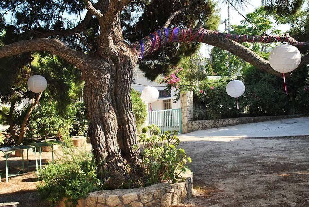 123 Soleil Studios Agia Marina  Exterior foto