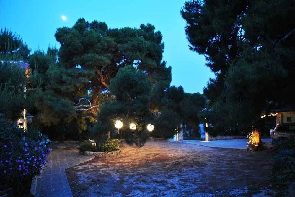 123 Soleil Studios Agia Marina  Exterior foto